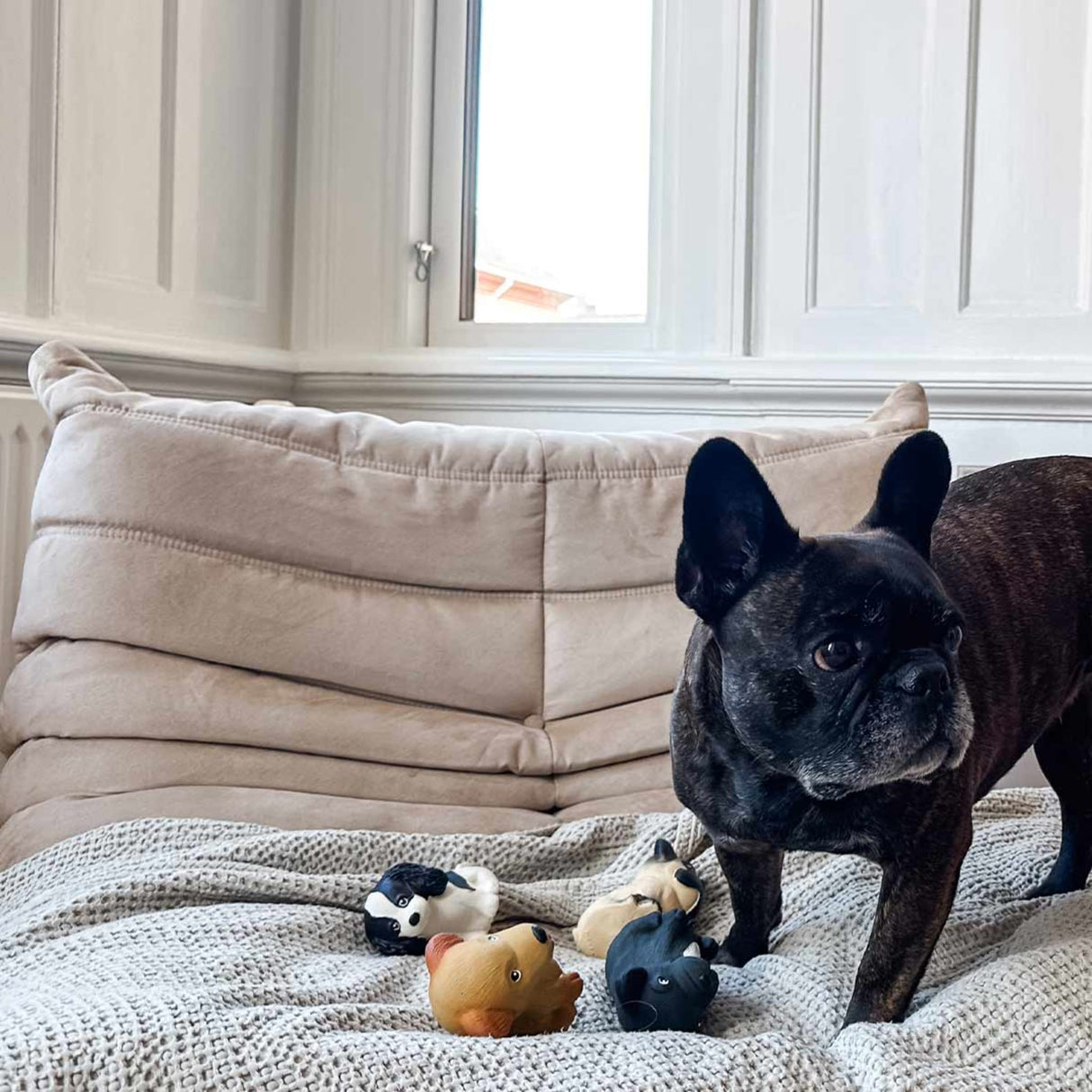 Dog Chew Toy - The Breed Collection in Natural Rubber -