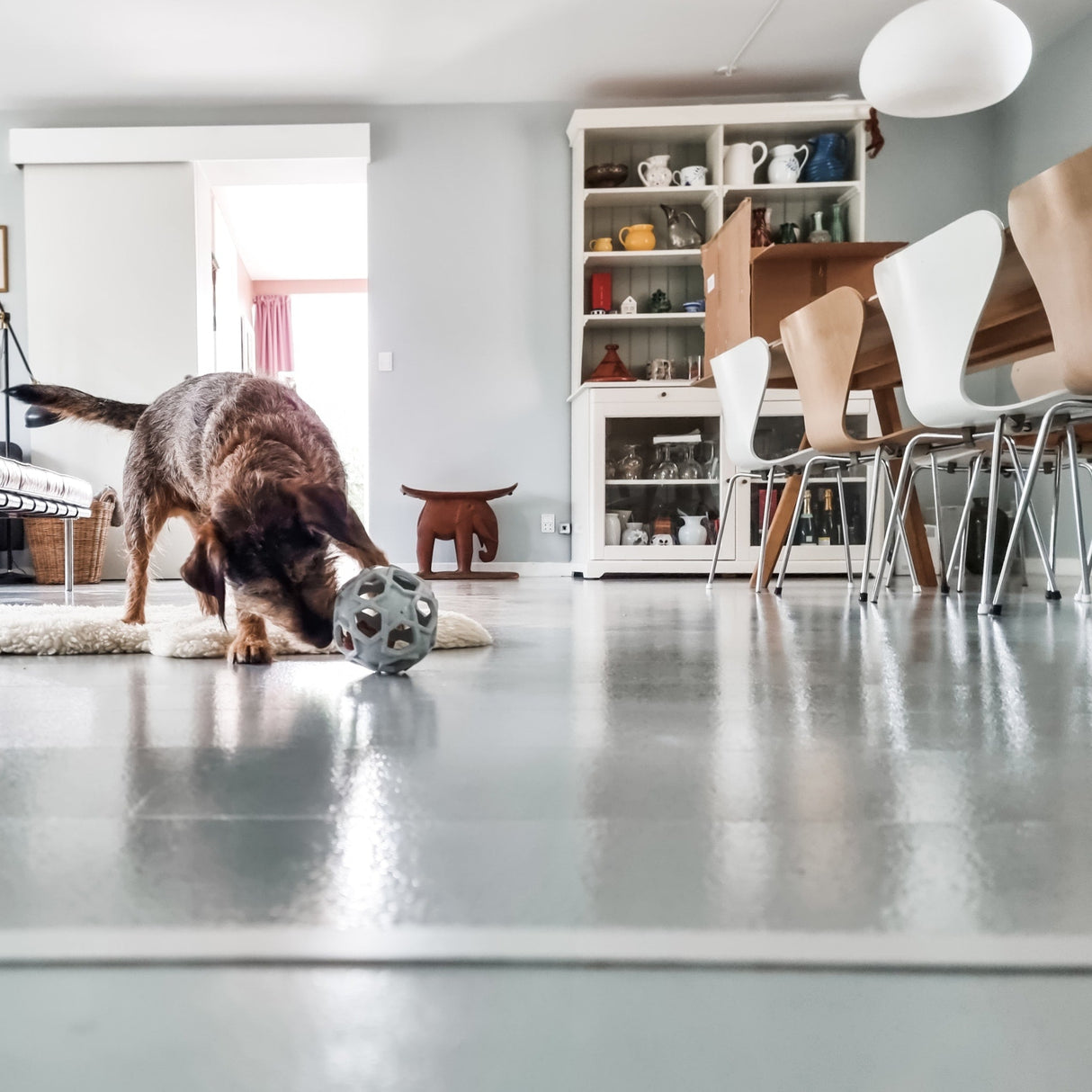 Stellar Ball 2-in-1 Dog Activition & Fetch Toy in Natural Rubber