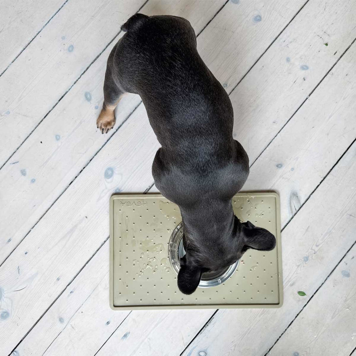 Dog Feeding Mat in Natural Rubber - Big