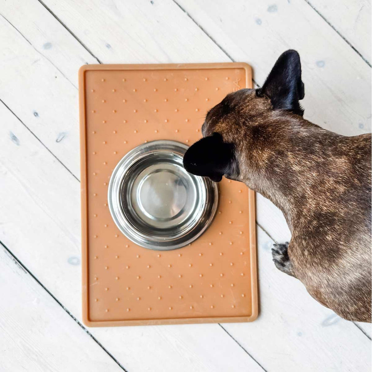 Dog Feeding Mat in Natural Rubber - Big
