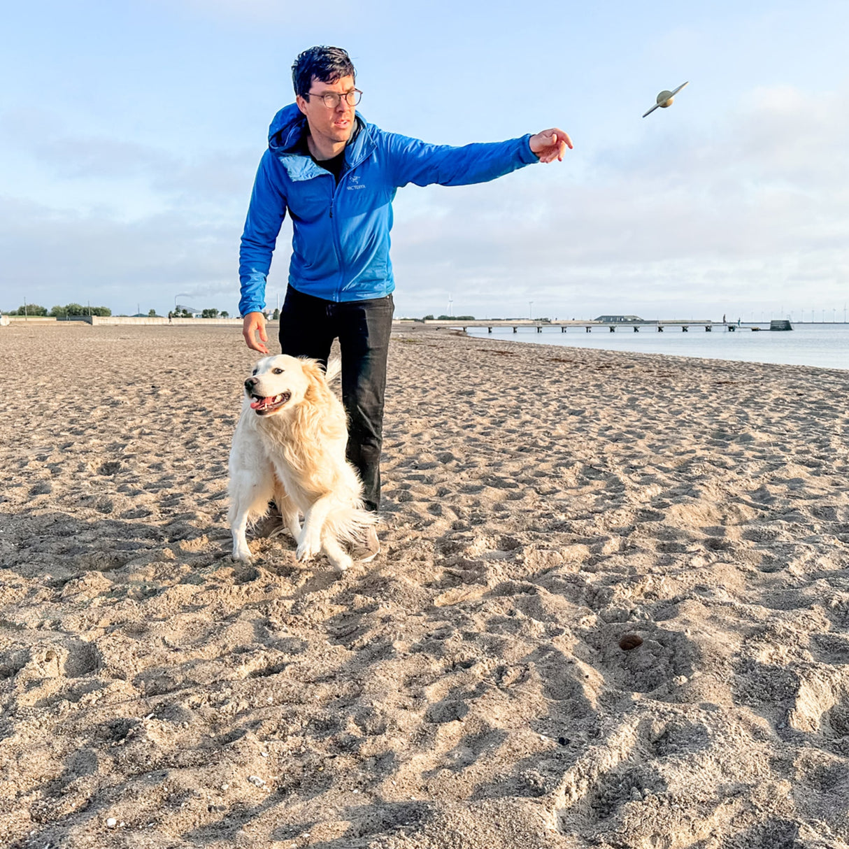 Universe Starter Set for Puppies -