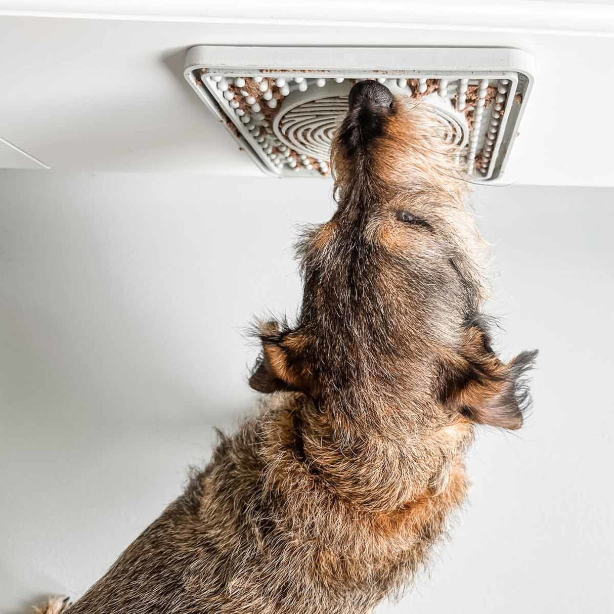 Dog Licking Mat in Natural Rubber -