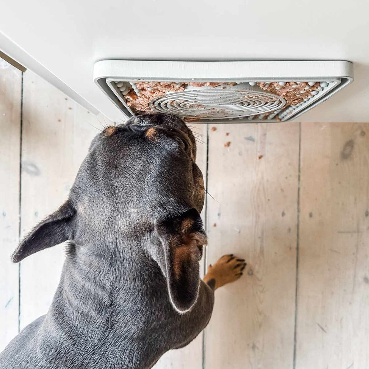 Dog Licking Mat in Natural Rubber -
