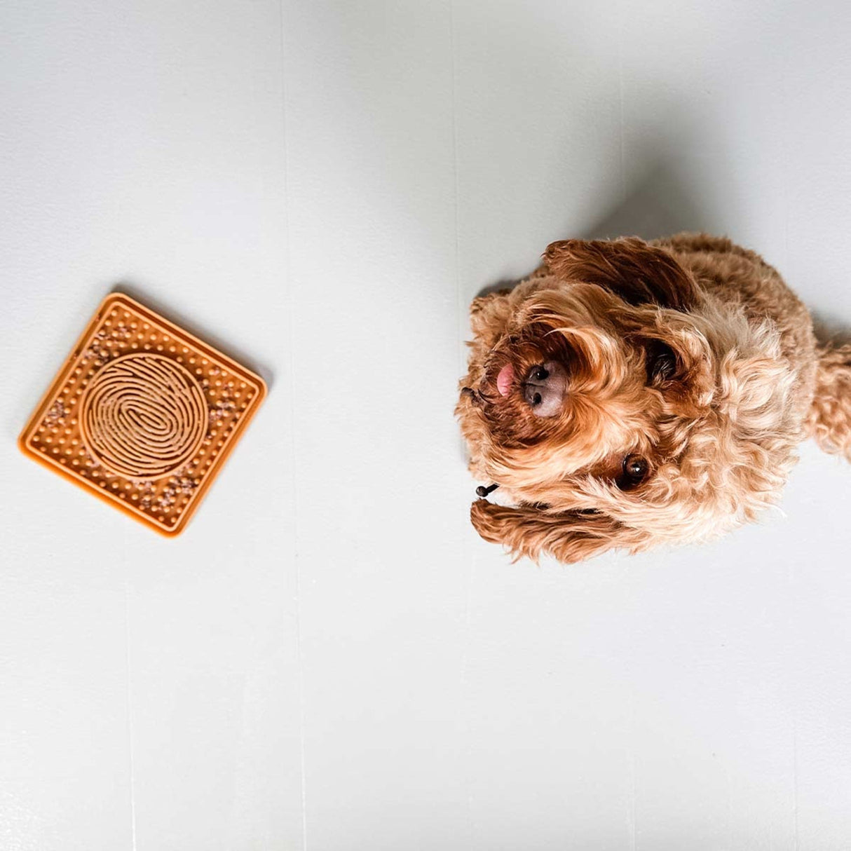 Dog Licking Mat in Natural Rubber -