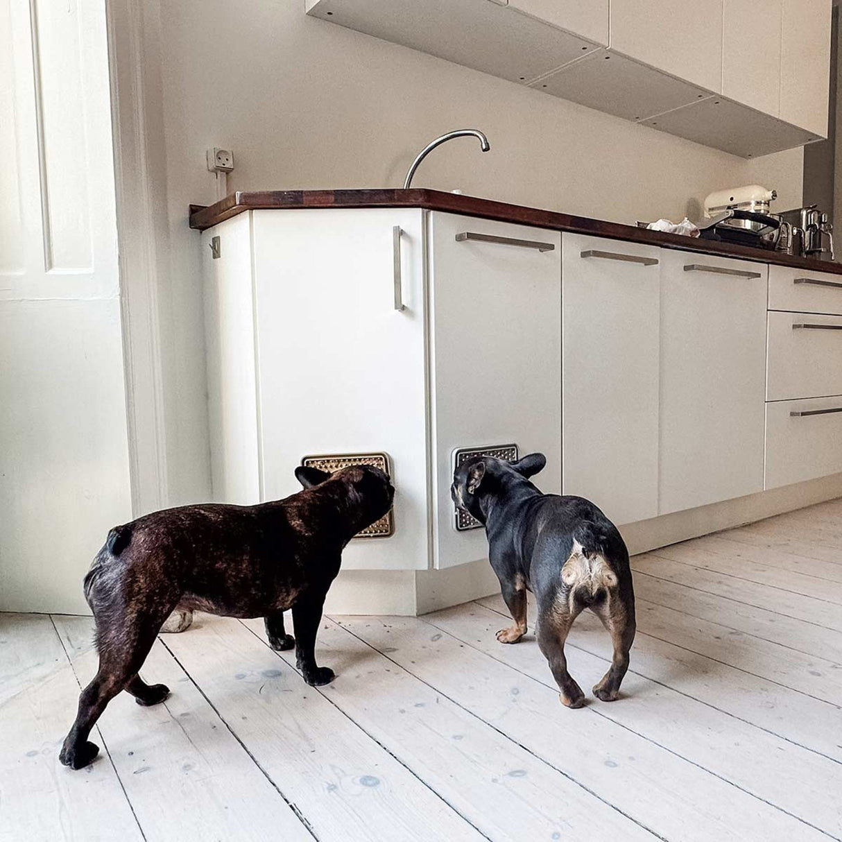 Dog Licking Mat in Natural Rubber -