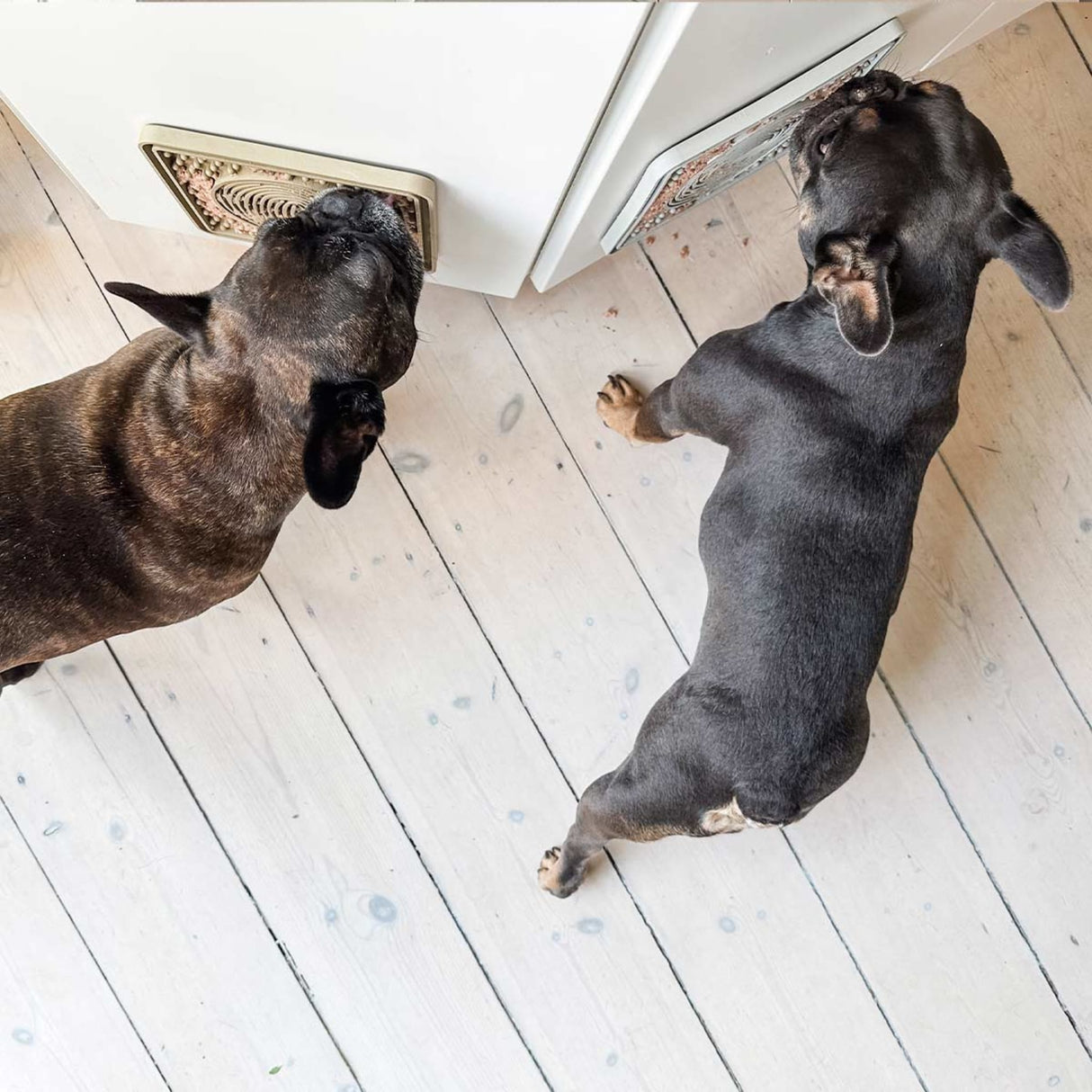Dog Licking Mat in Natural Rubber -