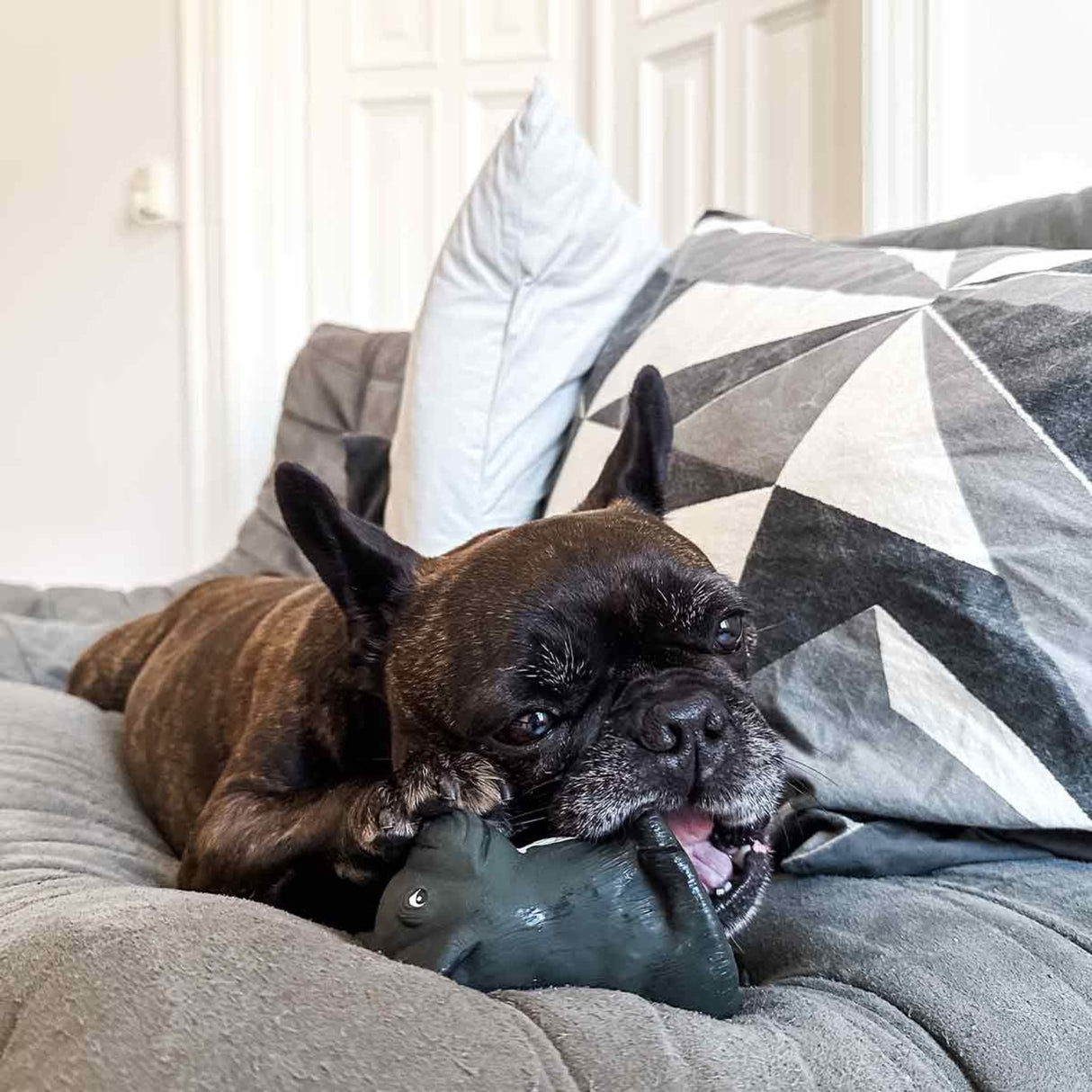 Dog Chew Toy - The Breed Collection in Natural Rubber -