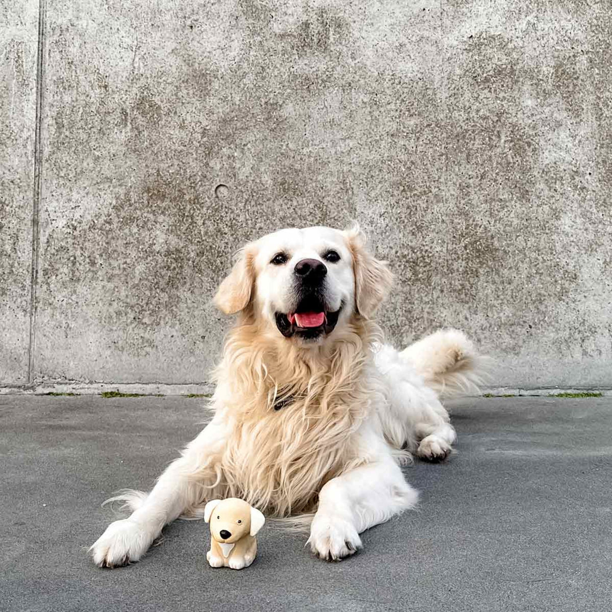 Dog Chew Toy - The Breed Collection in Natural Rubber -