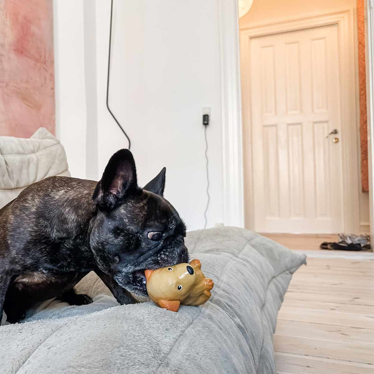 Dog Chew Toy - The Breed Collection in Natural Rubber -