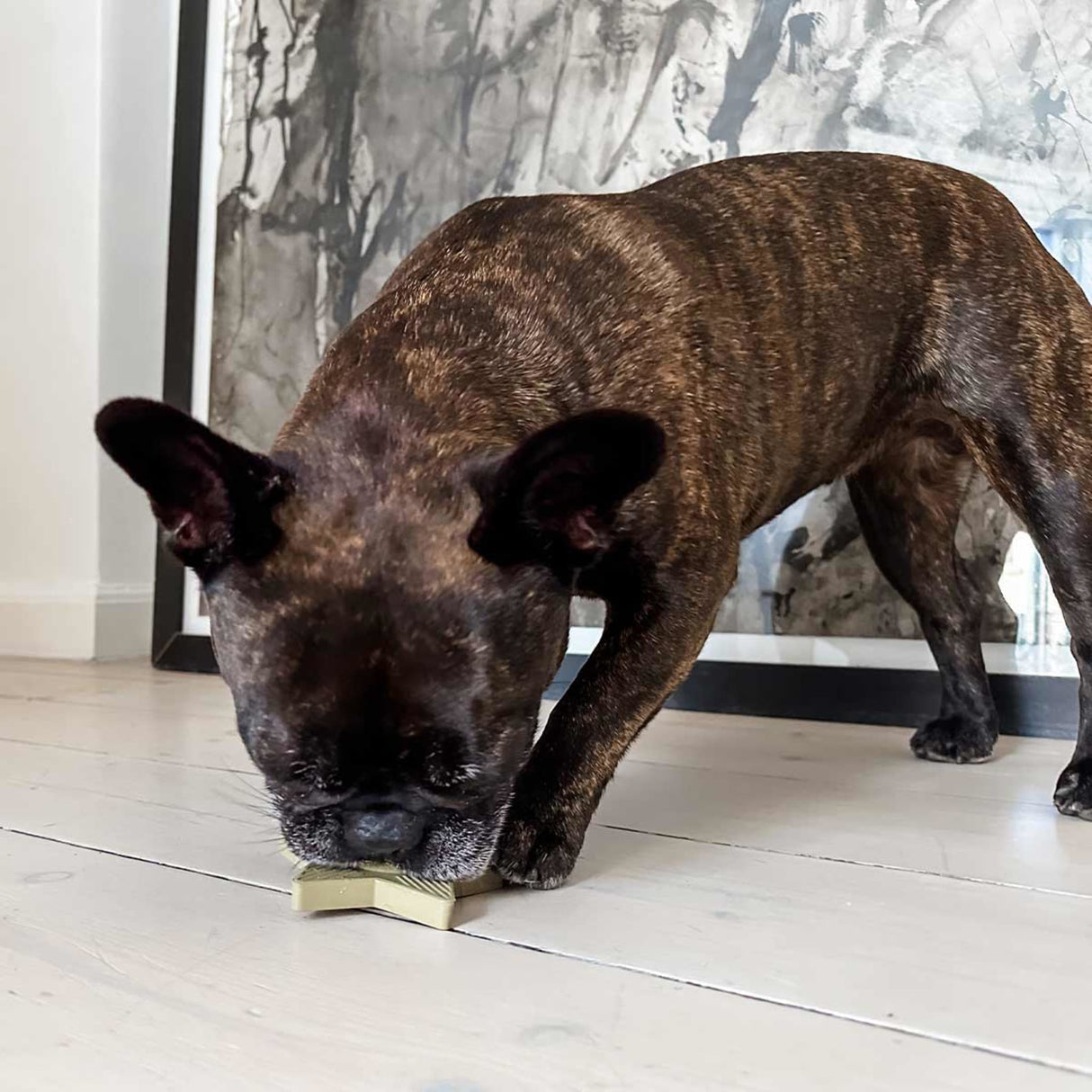 Star Treat Dog Activation Toy in Natural Rubber -