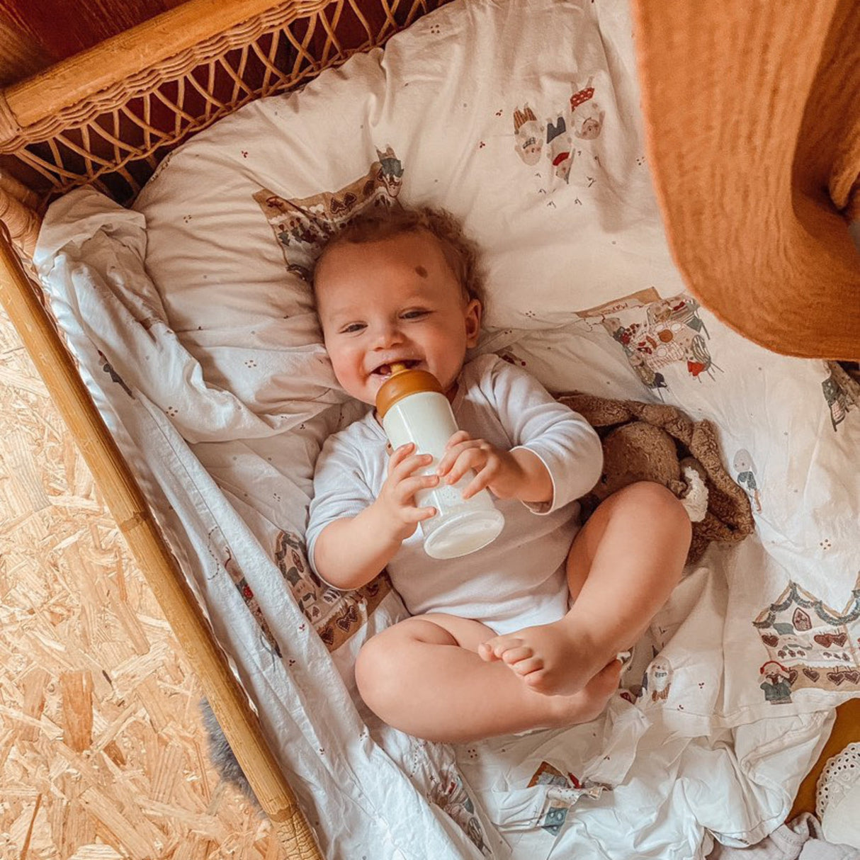 Wide Neck Baby Glass Bottle Nipple Single-Pack -