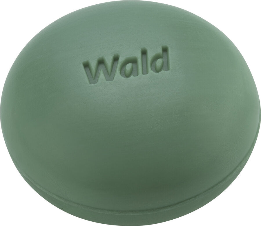 Bath & Shower Forest Soap