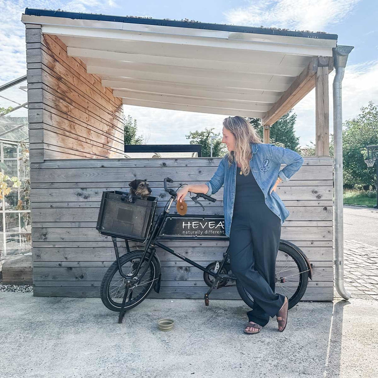 Galaxy Dog Throw & Fetch Disc in Natural Rubber -