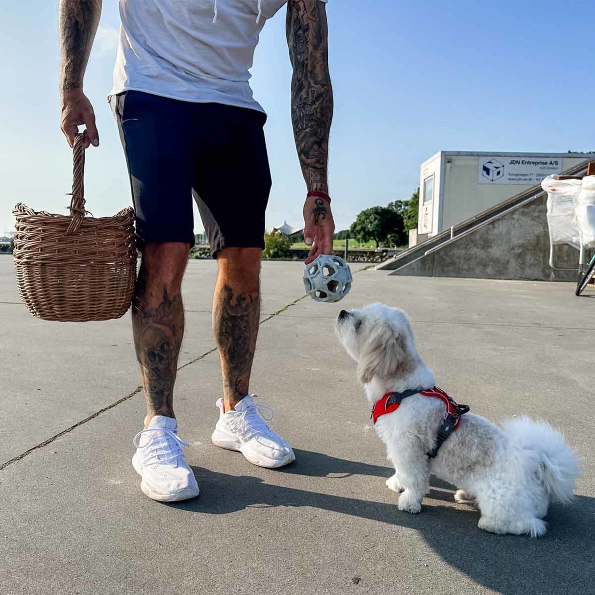 Stellar Ball 2-in-1 Dog Activition & Fetch Toy in Natural Rubber