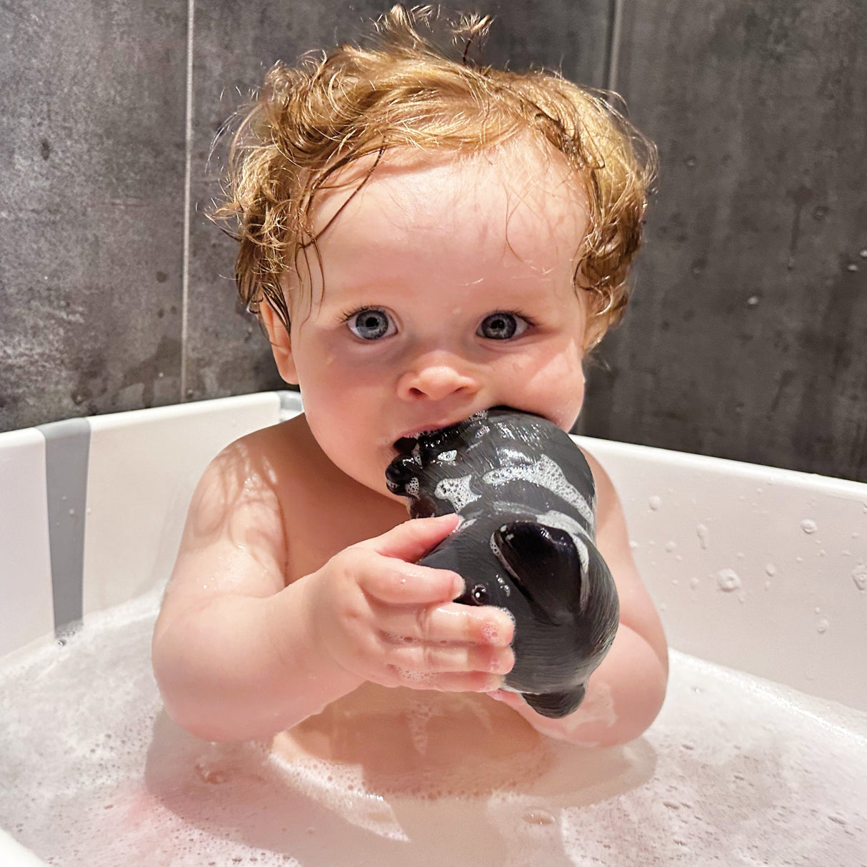Bath Buddy -