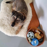 Planet Ball 2-in-1 Dog Activition & Fetch Toy in Natural Rubber -